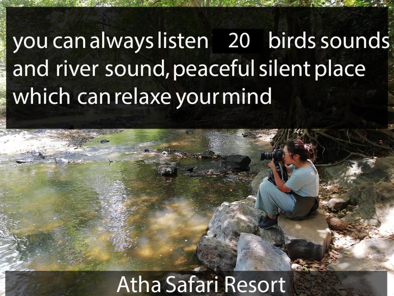Atha Safari Resort & Riverside Camping Удавалаве Екстер'єр фото