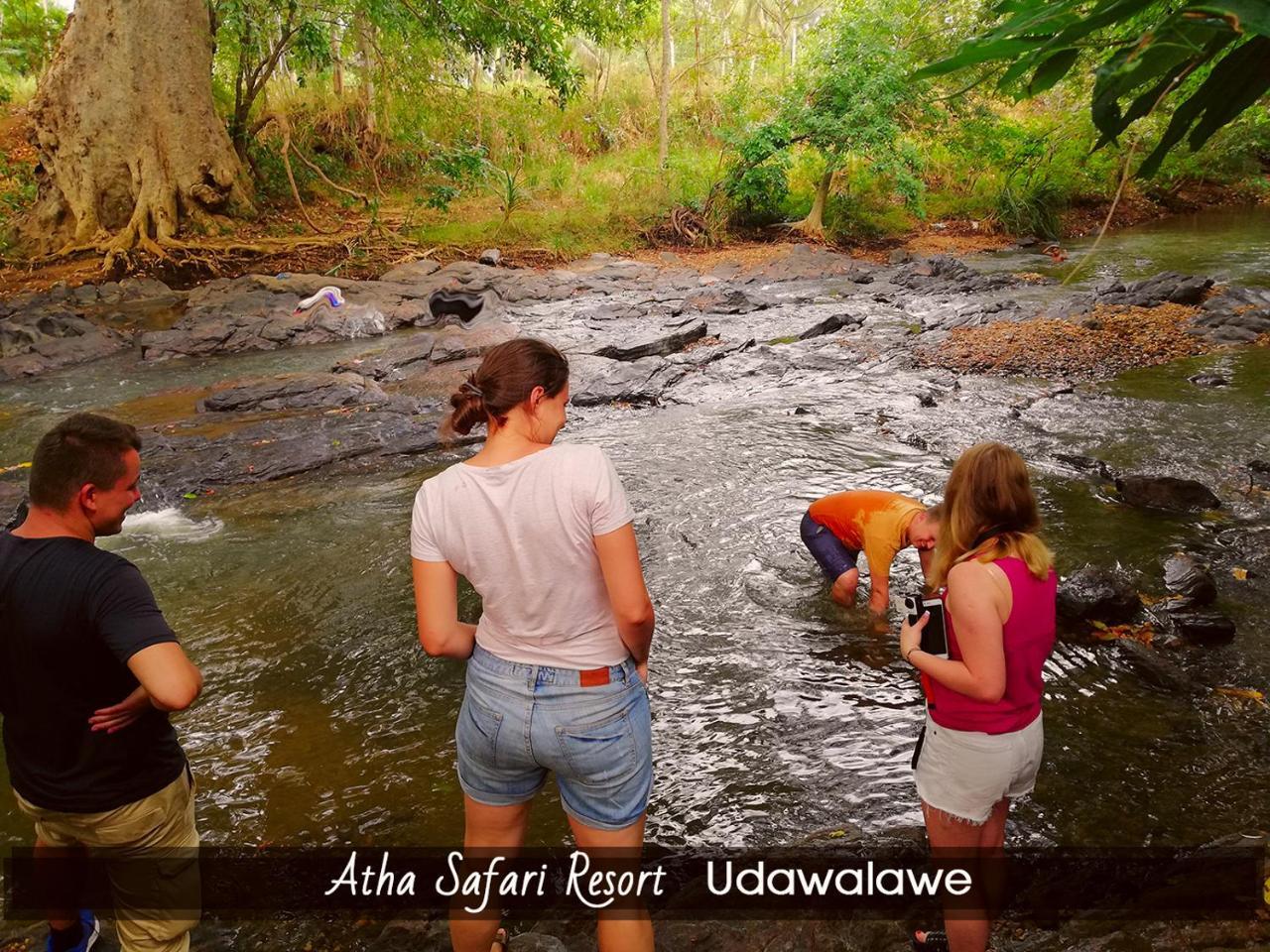 Atha Safari Resort & Riverside Camping Удавалаве Екстер'єр фото