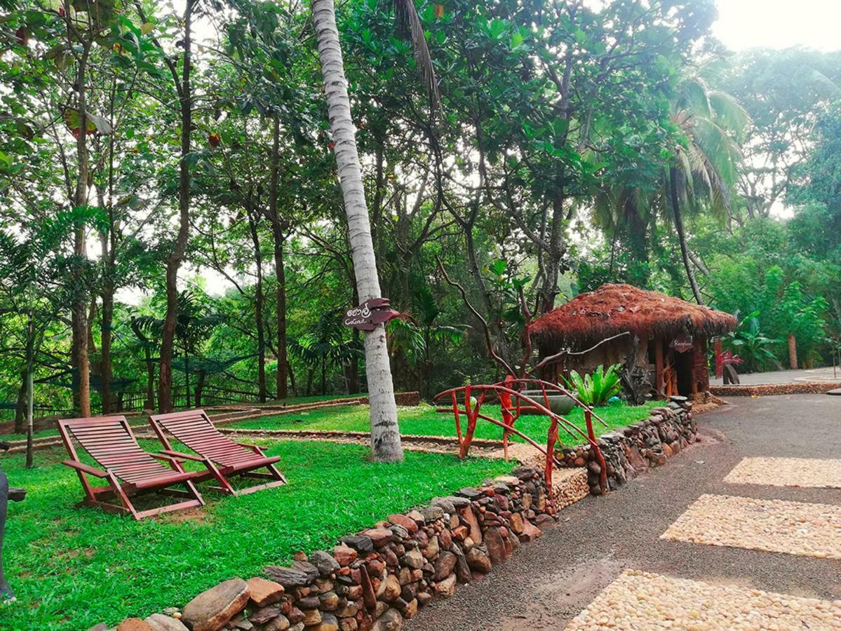 Atha Safari Resort & Riverside Camping Удавалаве Екстер'єр фото