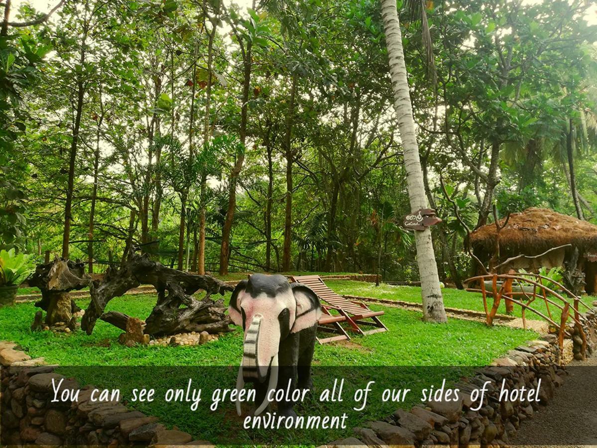 Atha Safari Resort & Riverside Camping Удавалаве Екстер'єр фото